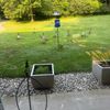 monkeybread19