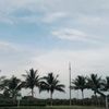 alfred_499
