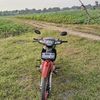 grand_std971