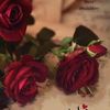 thepurelove1