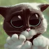 daoeww