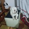 anghellocruz2820