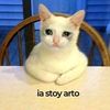 jorgeendespe