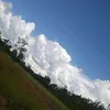 watusewu1