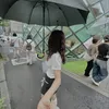 thuythuy09_