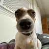 tinybootyhole