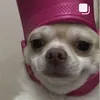 hiyesara