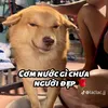 user769460262