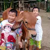 suriyasimlee