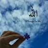 zarkashali1ts
