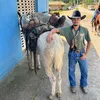 Júlio