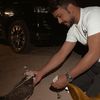 Aziz_q8