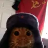 communist_kat