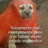 mijailapazacuyo