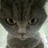 mateus_cajao_317