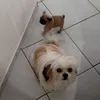 liz.pereira1