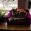 craftystitchaway