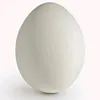 egg895.122445
