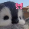 rebeca_bunny