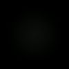 staar11_