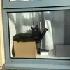 threelwb
