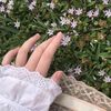 as_xiil
