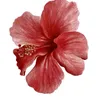 _srrdotcom