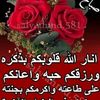 amahmed449