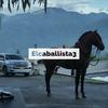 elcaballista3