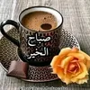 mohamed.chahid429