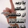 hamidabdelkader4