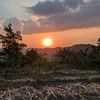 wong_kayen