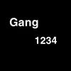 _gang._.1234_