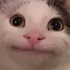 user272264