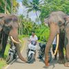 navod_anjana