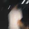 flufflino