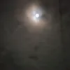 lexxx324