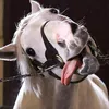 horsyyycutie
