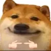 userlpmppx7qlz
