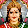 desaidashrath12