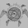kapac_camnp.1