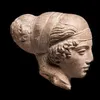 apollogeya