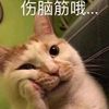tt12566