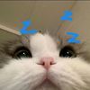 lijenn0w__