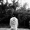 alvi_pedia
