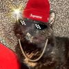 kiwipepperpebblesandflin