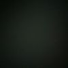patrick_wieler