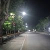 alfaaaaa_058888