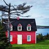 newfoundlandbuzz