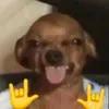 notycx